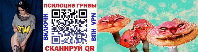 Псилоцибиновые грибы прущие грибы  Углич 